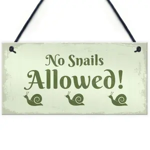 Funny Garden Sign Hanging Wall Door Plaque No Snails Allowed Greenhouse Sign