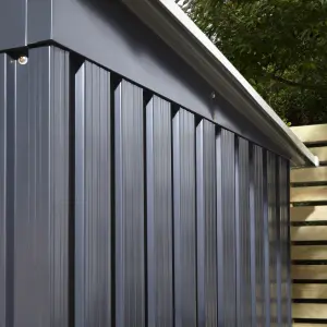 Rowlinson Trentvale 6x4 ft Pent Dark grey Metal 2 door Shed