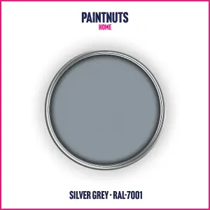 PaintNuts UPVC Door & Window Satin Paint - Silver Grey - 400ml Spray Can (RAL7001)