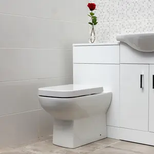 Astral Back to Wall Toilet with Soft Close Toilet Seat & Anti-Bacterial Glaze