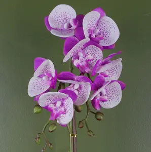 Orchid Artificial Purple White 50cm Gold Pot Phalaenopsis Botanik