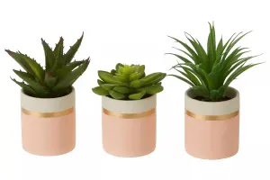 Fiori Set of 3 Pink Pot Succulents Artificial Plant Foliage