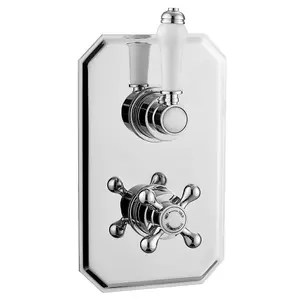 Concealed Thermostatic Shower Mixer Valve with Diverter (Ocean)