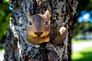 Squirrel Tree Peeker Garden Ornament