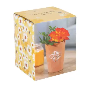 Small Terracotta Indoor Plant Pot with a Bee Design. Gift Idea. (Dia) 8.5 cm