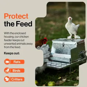 SuperHandy Chicken Feeder Automatic Spill Proof Galvanized Steel Bird Prevention for Chickens, Pheasants, or Roosters