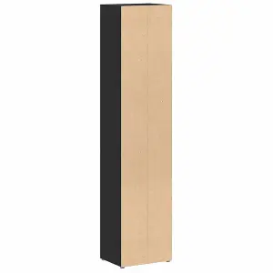 vidaXL CD Cabinets 2 pcs Black 21x16x93.5 cm Engineered Wood