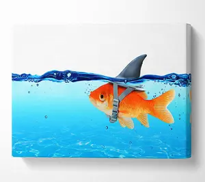 Goldfish Shark Canvas Print Wall Art - Medium 20 x 32 Inches