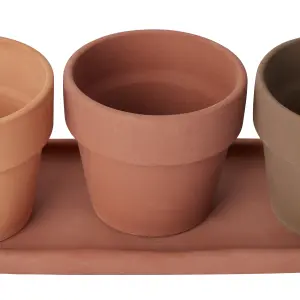 Verve Arara Terracotta Cement & terracotta Plant pot (Dia) 10.9cm, (H)11cm, 400ml