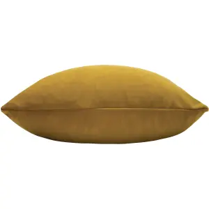 Paoletti Sunningdale Velvet Feather Rich Cushion