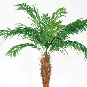 Blooming Artificial - 250cm / 8.25ft Fake Phoenix Palm