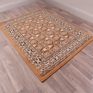 Traditional Poly Esta Gold Rug by Rug Style-60cm X 110cm