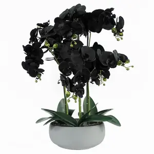 60cm Orchid Black - White Ceramic Planter