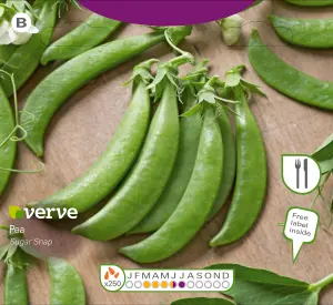 Verve 'Sugar snap pea' Vegetable Seeds