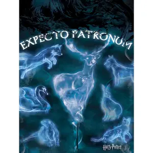 Harry Potter Expecto Patronum Canvas Print Blue/White/Black (80cm x 60cm)