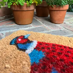 Pheasant Indoor & Outdoor Coir Doormat