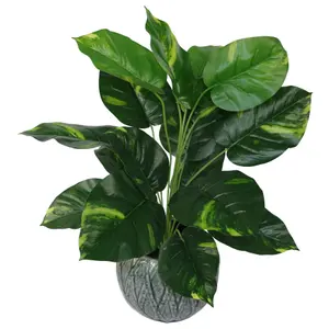 60cm Artificial Devil's Ivy (Scindapsus Aureus) Plant