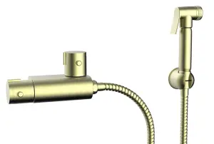 Aquarius FT Shattaf Douche Kit with Thermostatic Mini Valve Brushed Brass