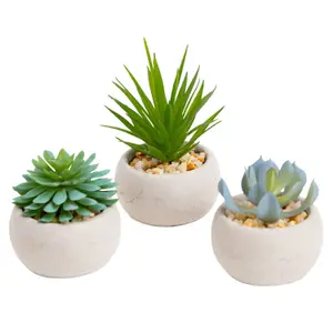 Blooming Artificial - 7cm / 0.25ft Pastel Faux Succulent Trio