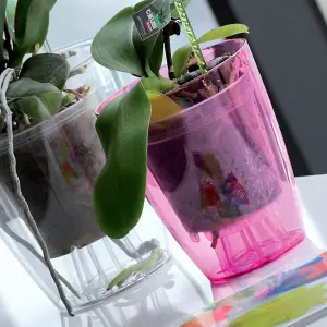 Plant Orchid Pot Plastic 3 Colours Gloss Oval Planter Transparent Clear 13 cm Purple