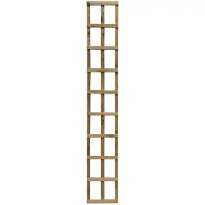 6x1 Heavy Duty Trellis Pressure Treated (Pack of 3) - L30.5 x W30.5 x H183 cm