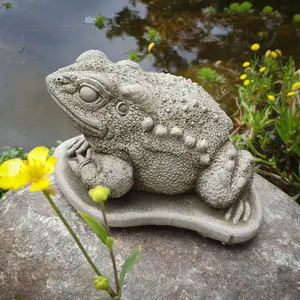 Bocana Frog Animals Stone Garden Statue