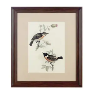 Interiors by Premier Framed Birds 2 Wall Art