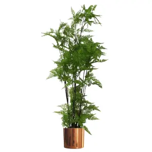 Artificial Natural Look Moss Fern Large Copper Planter 150cm 5ft Realistic Botanik