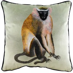 Evans Lichfield Kibale Jungle Monkey Piped Printed Feather Filled Cushion