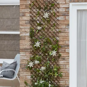 Blooma 2ft Willow Trellis panel (W)180cm x (H)60cm