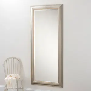 Abbeyville Framed Wall Mounted Accent Mirror Champagne / 102.5cm H x 74.5cm W