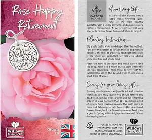 Happy Retirement Rose Bush Gift Wrapped - Help A Colleague Or Friend Celebrate