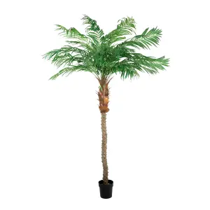 Blooming Artificial - 250cm / 8.25ft Fake Phoenix Palm