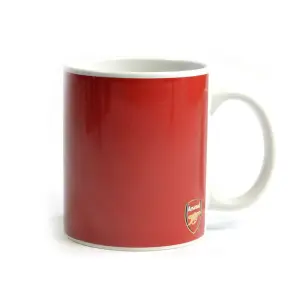 nal FC Halftone 0.3kg Boxed Mug Navy/Red (One Size)