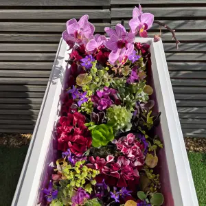 75cm Long Zinc Galvanised Matte White 90cm Tall Trough Planter