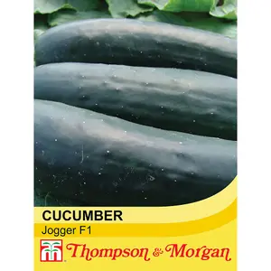 Cucumber Jogger F1 Hybrid 1 Seed Packet (12 Seeds)