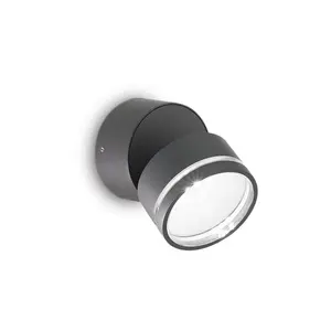 Luminosa Omega Round Single Spotlight Anthracite IP54 4000K