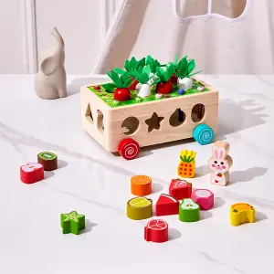 Colourful Montessori Toy Wooden Building Blocks for Kids Age 3+