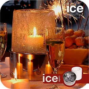 Creative Wine Bottle Self Design Ice Cooler Bucket Made of Natural Ice Set