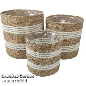 Indoor Planter Basket Natural Seagrass & Jute White Stripe Set of Three 25cm, 22cm & 17cm Diameter Garden Gear