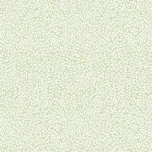 Laura Ashley Little vines Hedgerow Leaf Smooth Wallpaper Sample