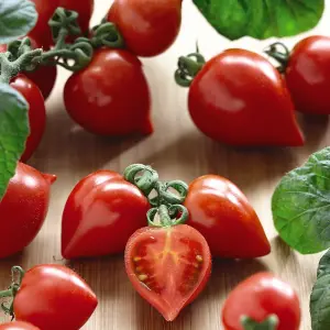 Tomato Heartbreakers Vita F1 1 Seed Packet