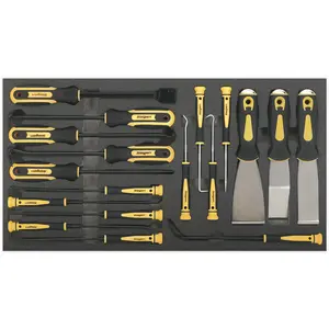 Premium 18 Piece Hook and Scraper Tool Set with Storage Tray