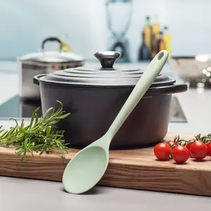 Zeal Silicone Cooking Spoon Sage Green