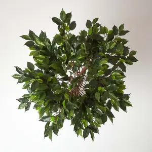 Homescapes Green Ficus Tree Artificial Plant with Twisted Real Wood Stem, 4 Ft