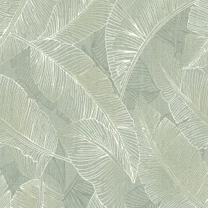 Belgravia Decor Anaya Leaf Textured Wallpaper Green