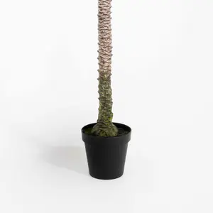 Blooming Artificial - 175cm / 5.75ft Artificial King Palm Tree