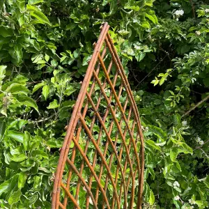 Set of 3 Willow Lattice Trellis With Gothic Top (120cm x 45cm)