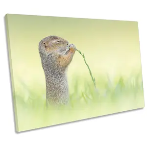 Cute Squirrel Smelling Flower Green CANVAS WALL ART Print Picture (H)30cm x (W)46cm