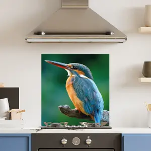 Premium 60cm x 65cm 6mm Glass Kingfisher Kitchen Splashback Toughened Polished Edge